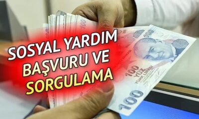 Aileden 1 kişi başvursa yeter: Ekim ayında hesaplarınıza 1.250 TL yatacak! e-Devlet'ten hemen kontrol edin