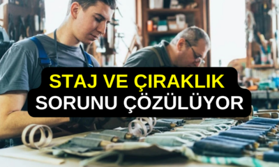 TESK Genel Başkanı: Staj ve Çıraklık Sigortası Sorunu Ekim Ayında Çözülecek