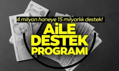 Adınıza 950 TL Ödeme Yapıldı! e-Devlet Üzerinden Kontrol Edin! Bakanlık Yatırdı