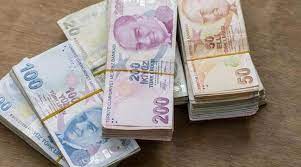 Adınıza 950 TL Ödeme Yapıldı! e-Devlet Üzerinden Kontrol Edin! Bakanlık Yatırdı