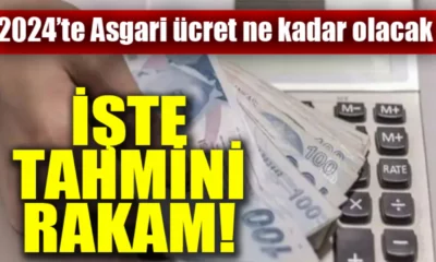 2024 Asgari Ücret Zammı Tahminleri! Asgari Ücret Ne Kadar Oldu?