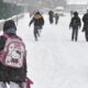 Lapa Lapa Kar Yağışı Türkiye'yi Kapladı! Okullar TATİL, Meteoroloji UYARDI